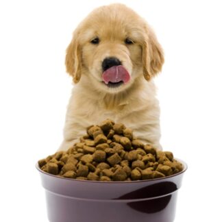Alimento para Perros